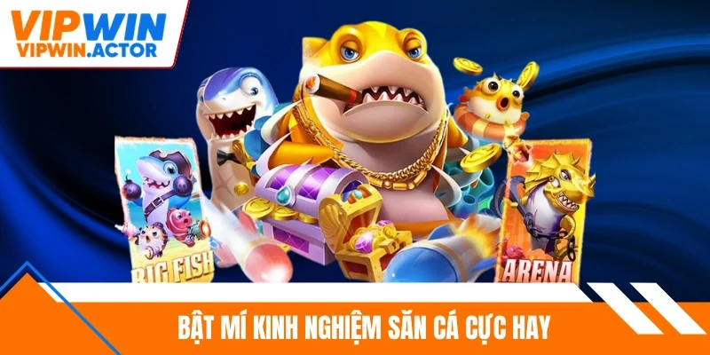 Bật mí kinh nghiệm săn cá cực hay