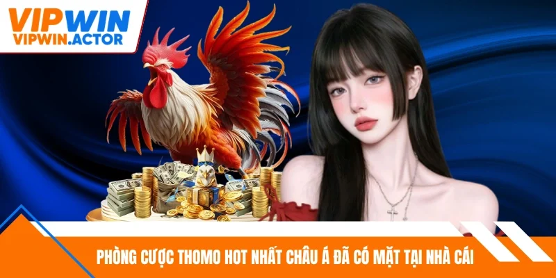 Phòng cược Thomo hot nhất châu Á đã có mặt tại nhà cái
