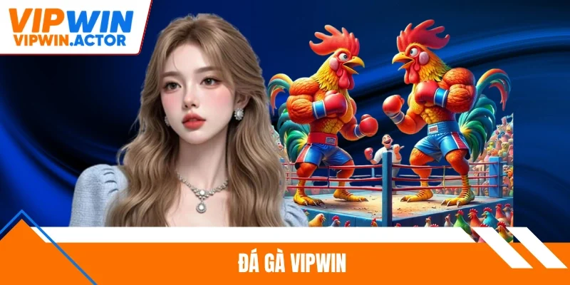 Đá gà Vipwin
