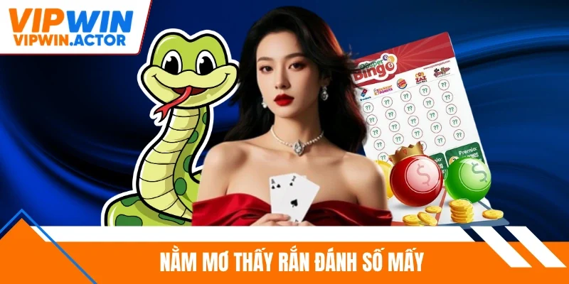 Nằm mơ thấy rắn đánh số mấy